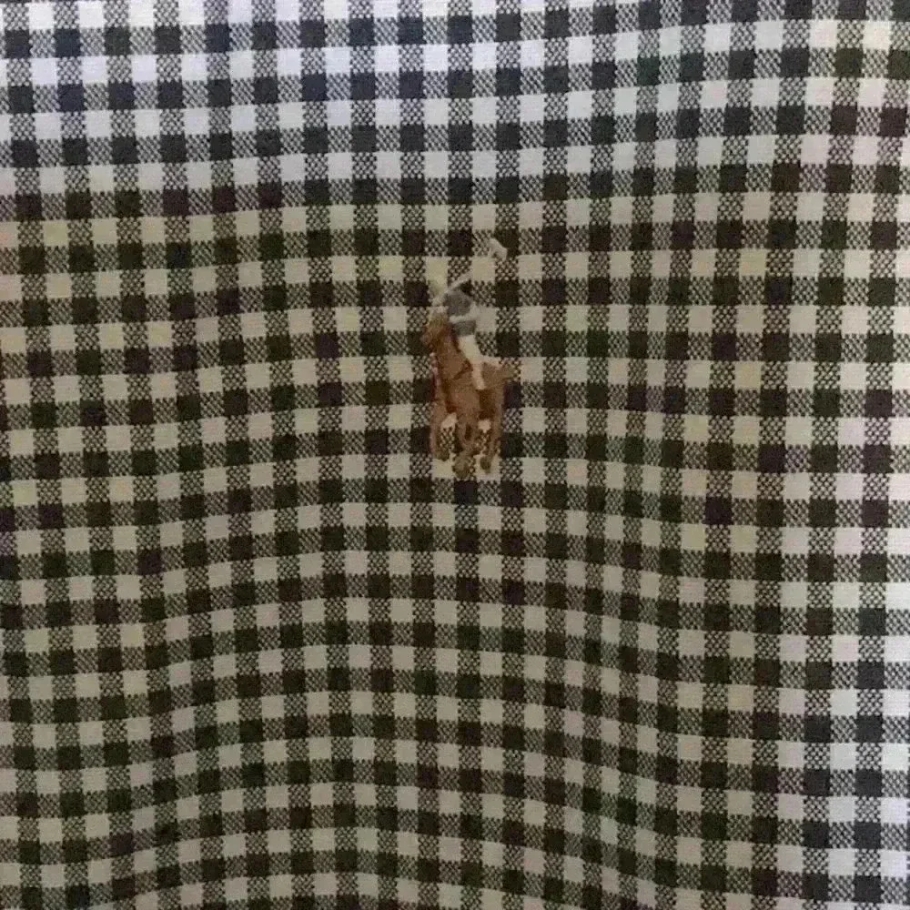 Ralph Lauren Gingham Slim Fit Shirt
